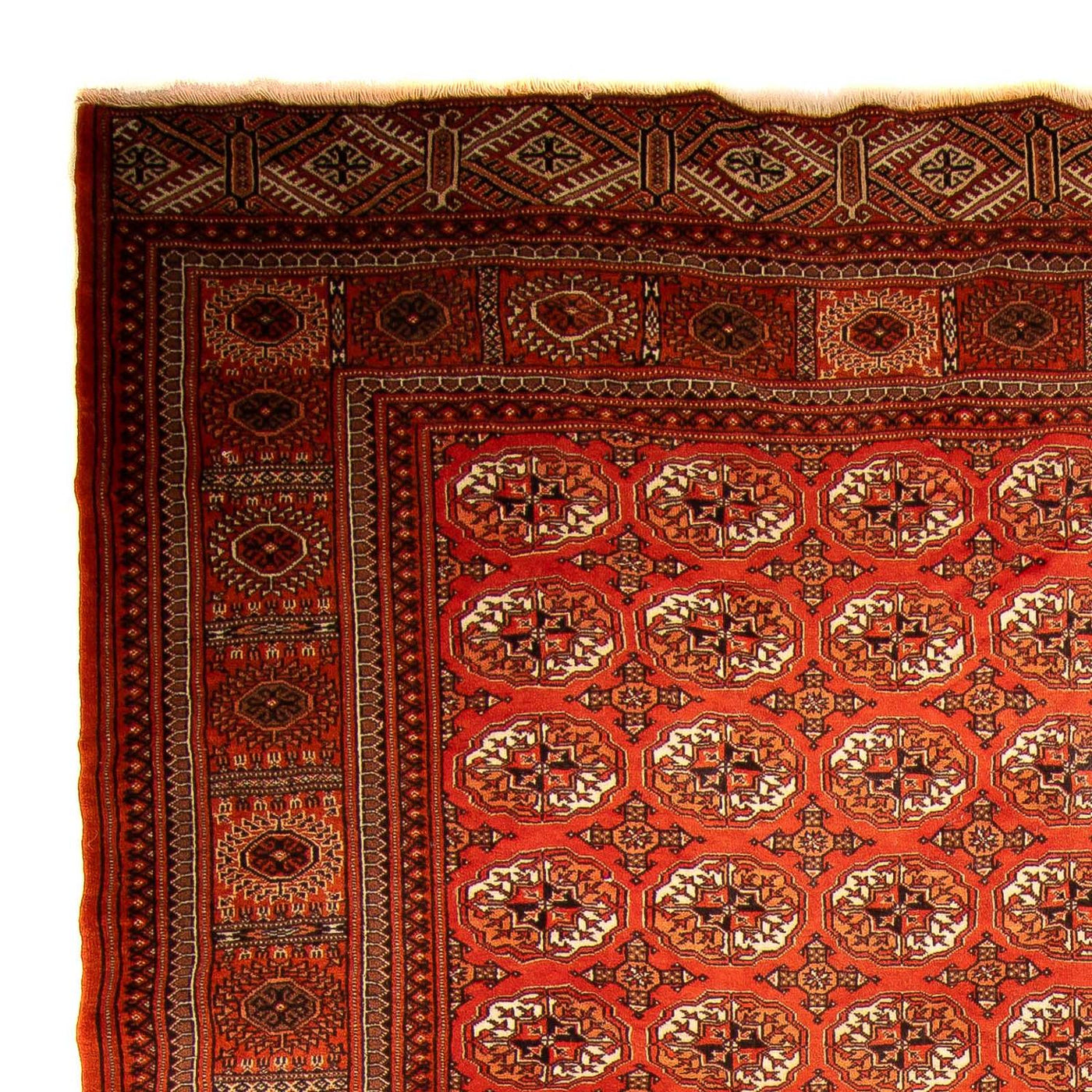 トルカマン絨毯 333x260cm - オリエンタル絨毯