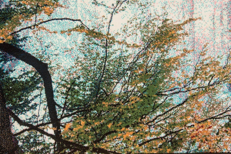 絵画絨毯 113x64cm - オリエンタル絨毯