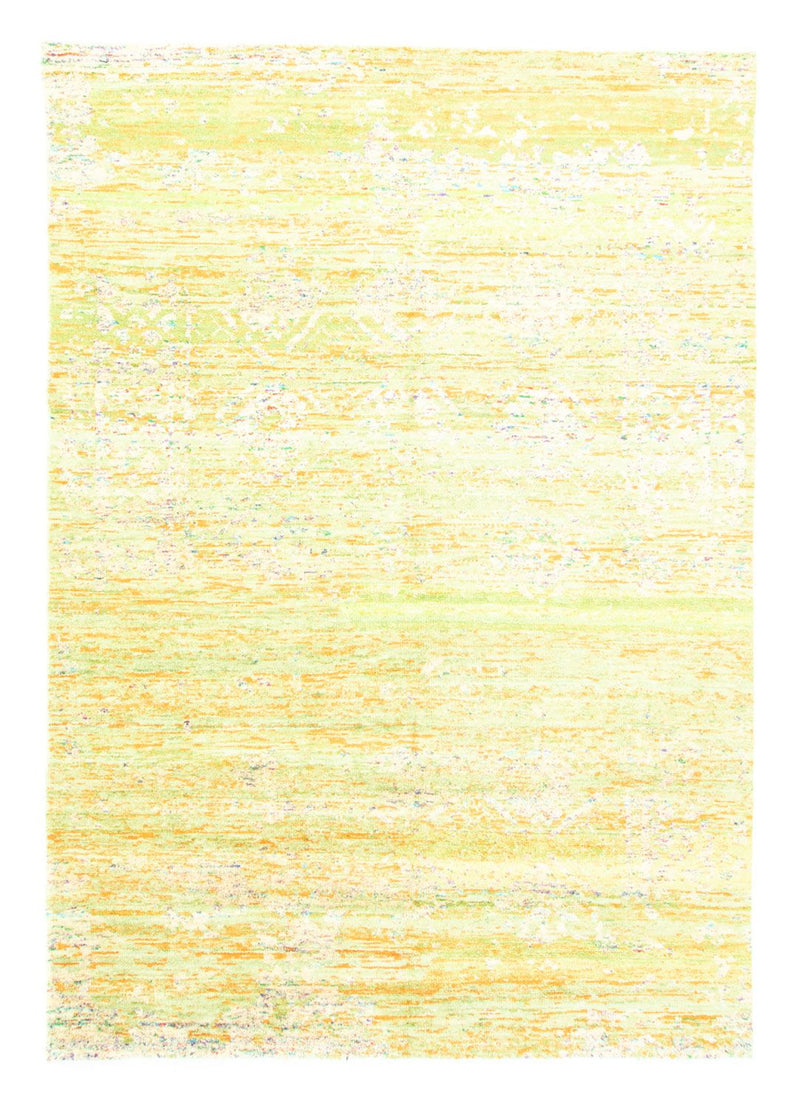 デザイナー絨毯 320x220cm - デザイナーラグ