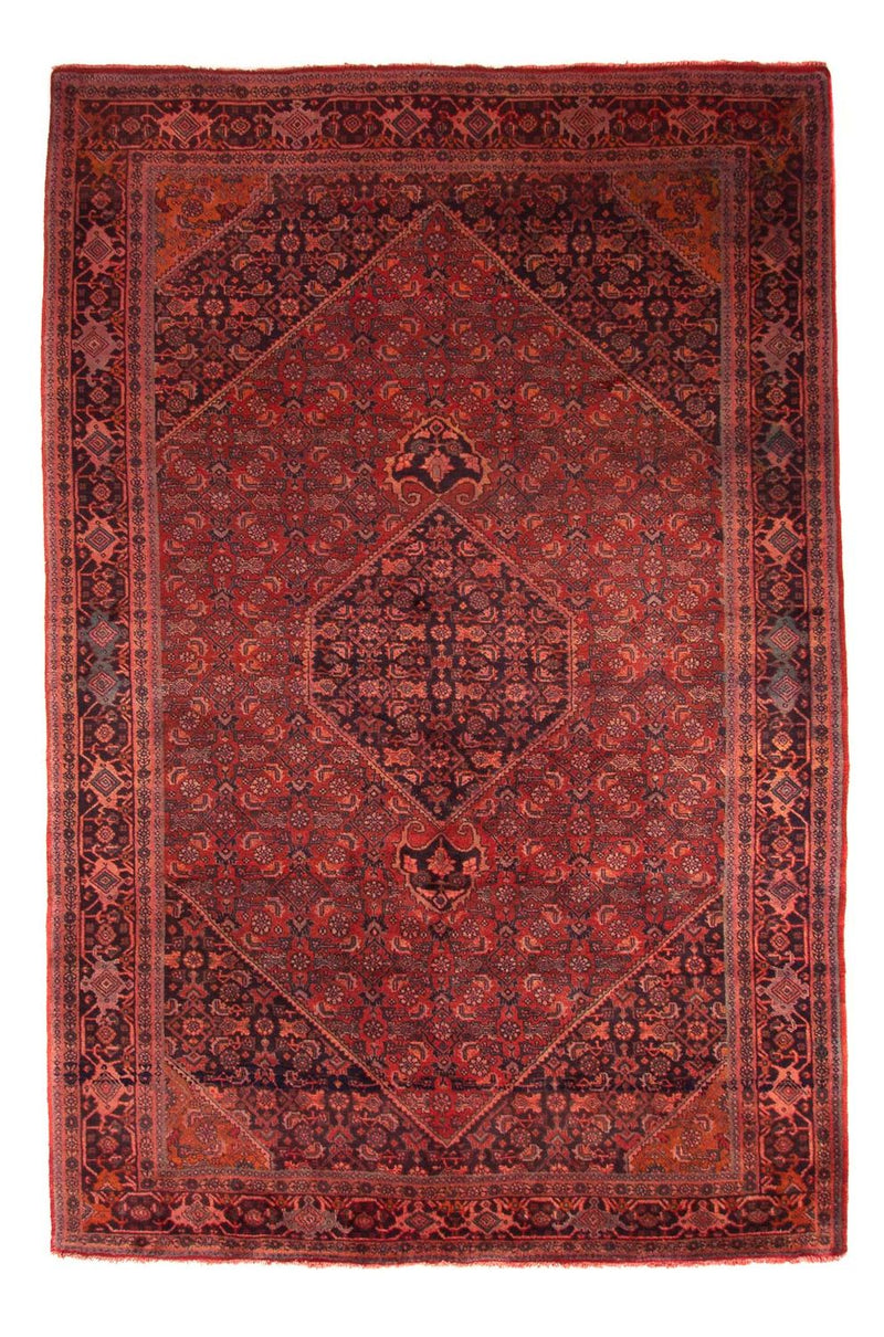 ビジャー - タカブ 絨毯 327x220cm - ペルシャ絨毯