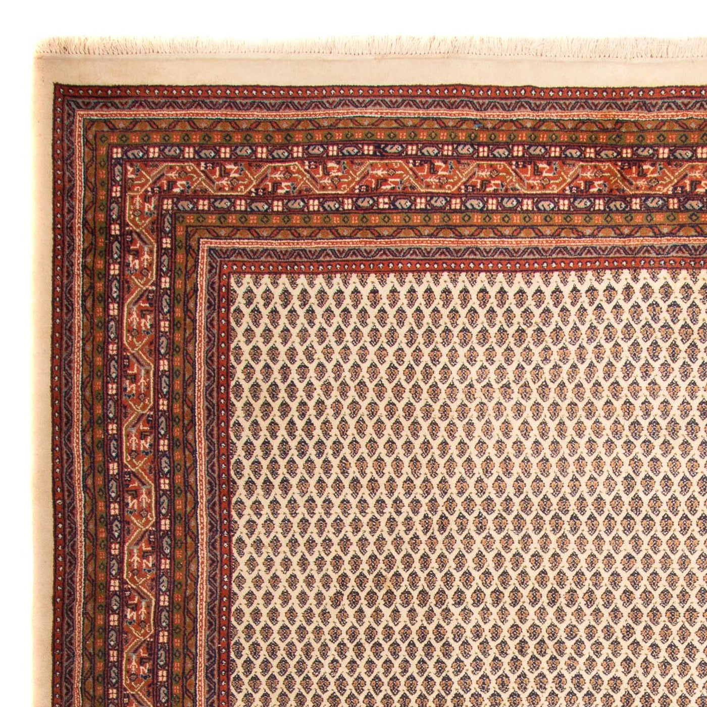 インド ミール 絨毯 344x244cm - オリエンタル絨毯