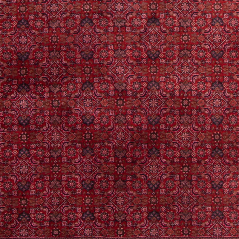 インド ビジャー 絨毯 300x200cm - オリエンタル絨毯