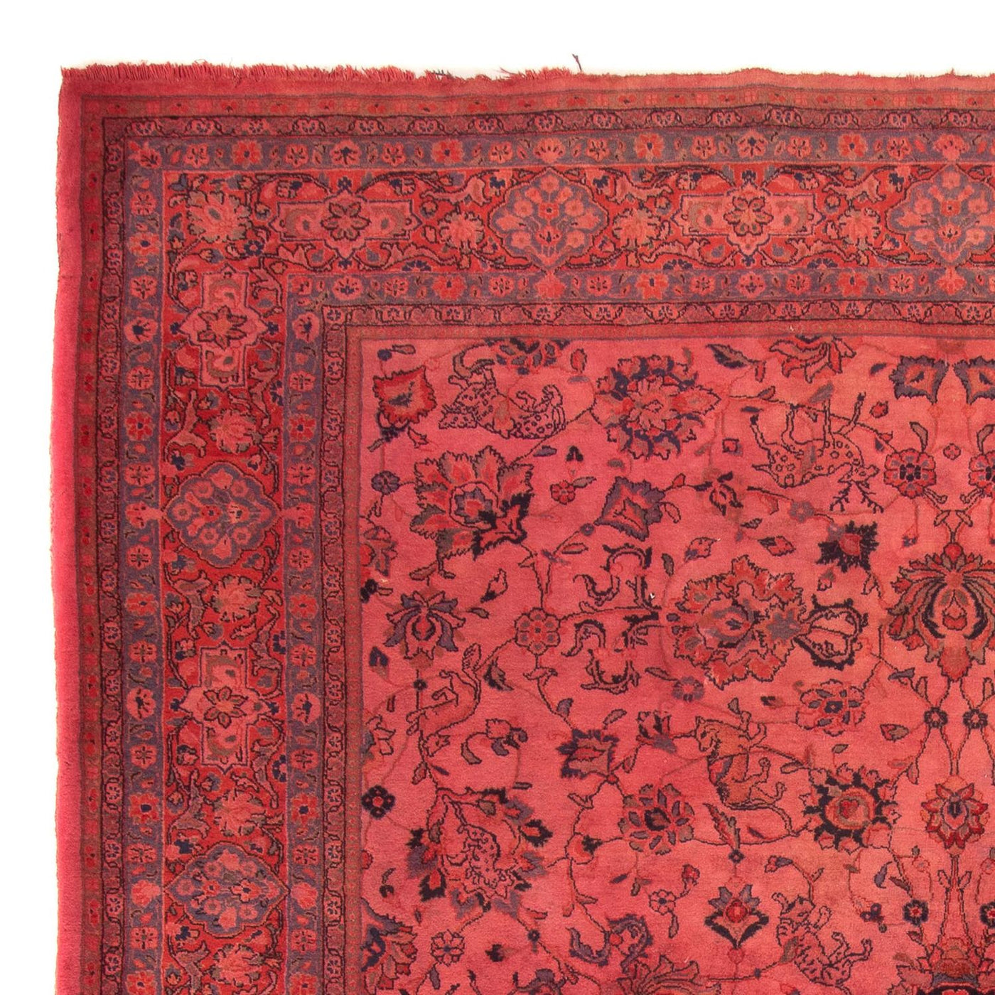 サルーク 絨毯 349x244cm - ペルシャ絨毯