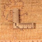 ツィーグラー絨毯 300x200cm - オリエンタル絨毯