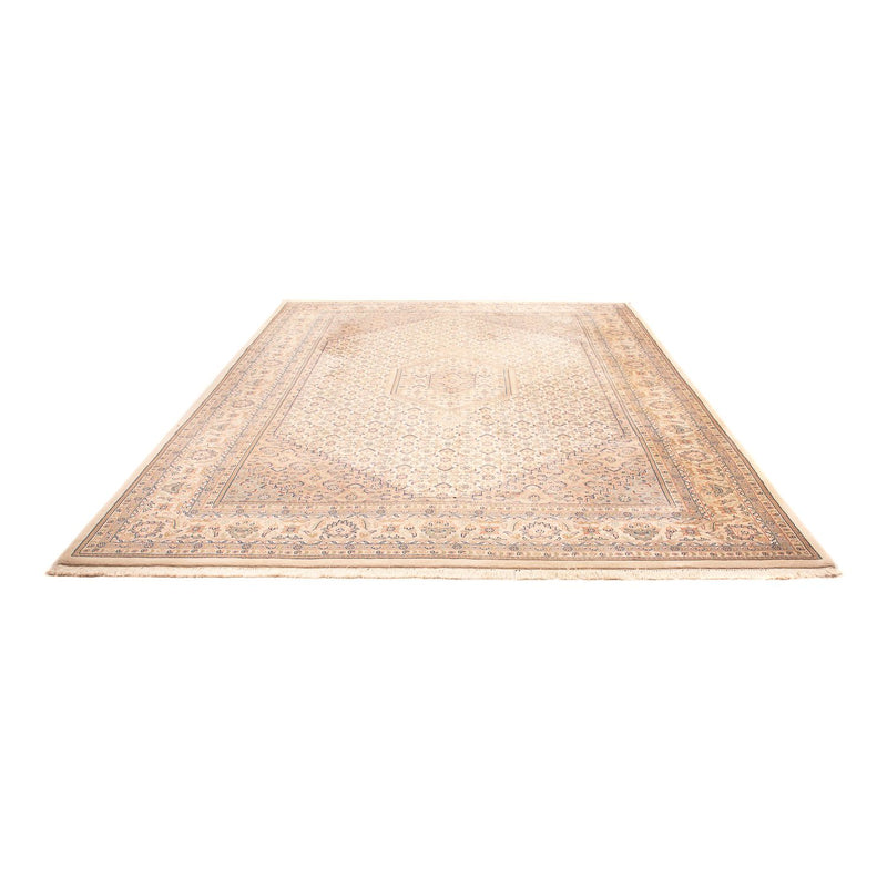 インド ビジャー 絨毯 350x250cm - オリエンタル絨毯