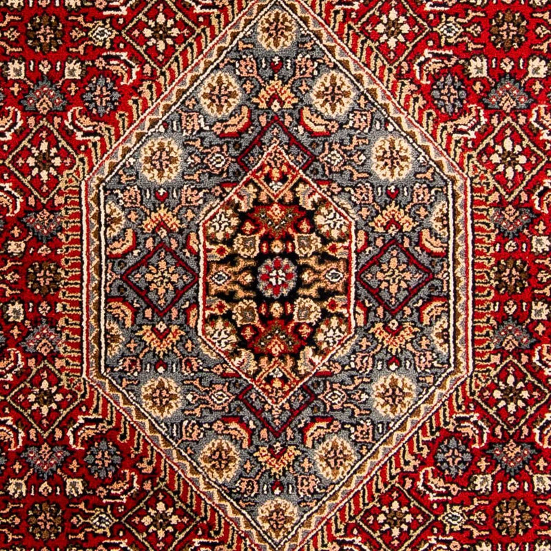 インド ビジャー 絨毯 305x199cm - オリエンタル絨毯