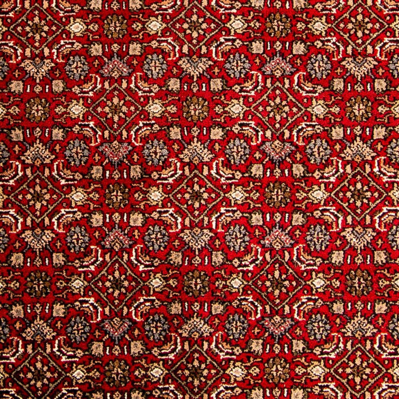 インド ビジャー 絨毯 300x200cm - オリエンタル絨毯