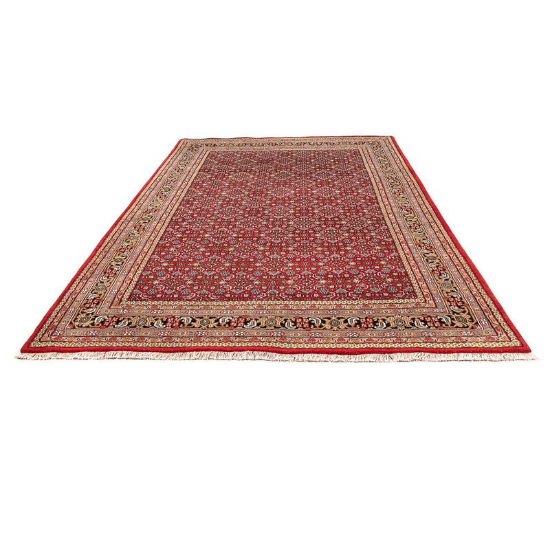 インド ビジャー 絨毯 300x200cm - オリエンタル絨毯