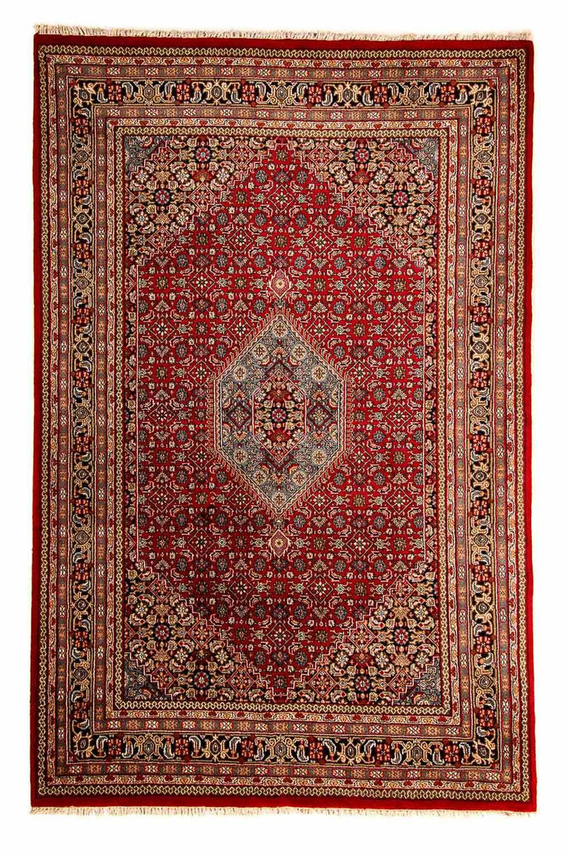 インド ビジャー 絨毯 300x200cm - オリエンタル絨毯