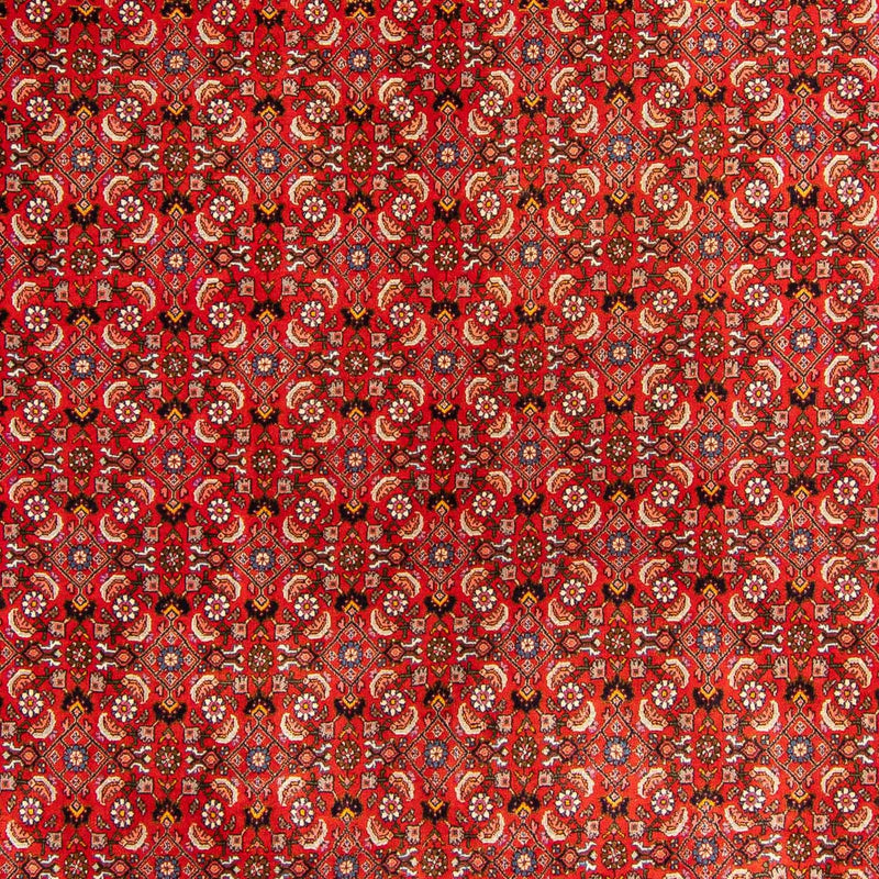 ビジャー 絨毯 300x204cm - ペルシャ絨毯