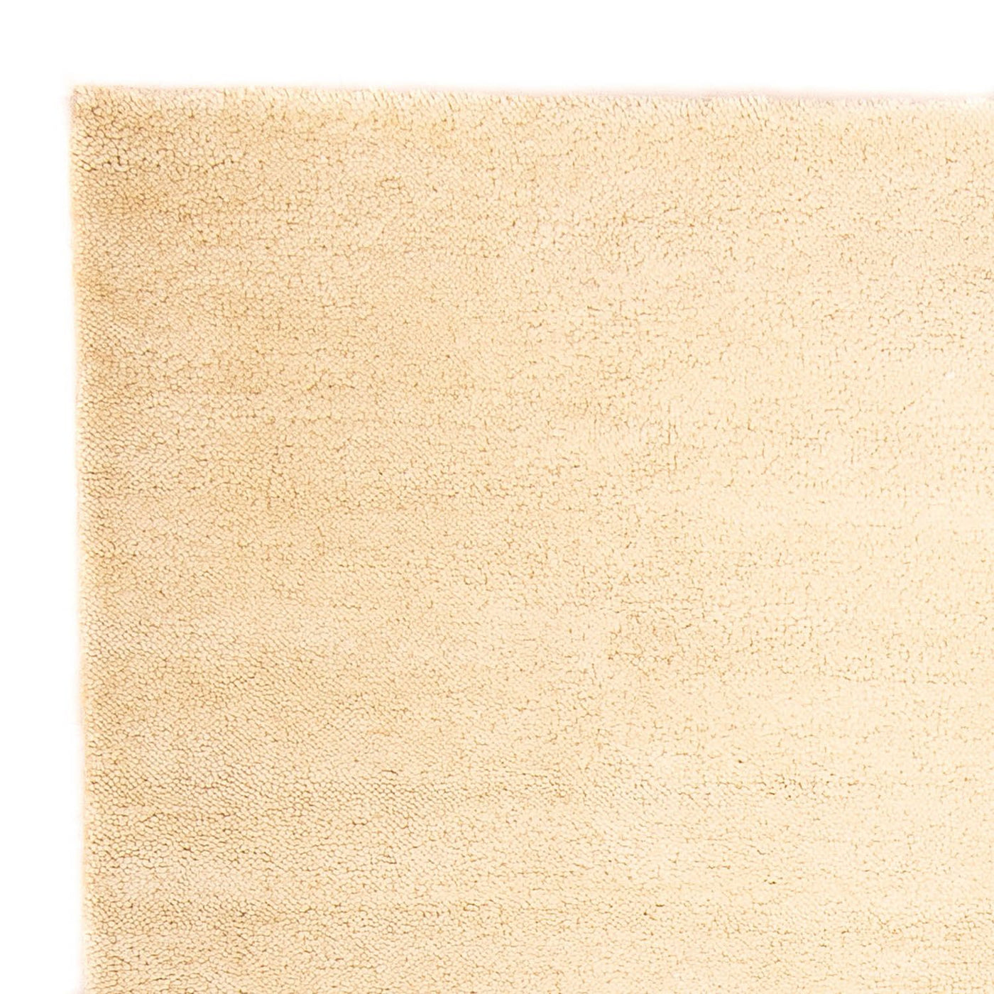 インド ギャベ 絨毯 230x150cm - ウールラグ