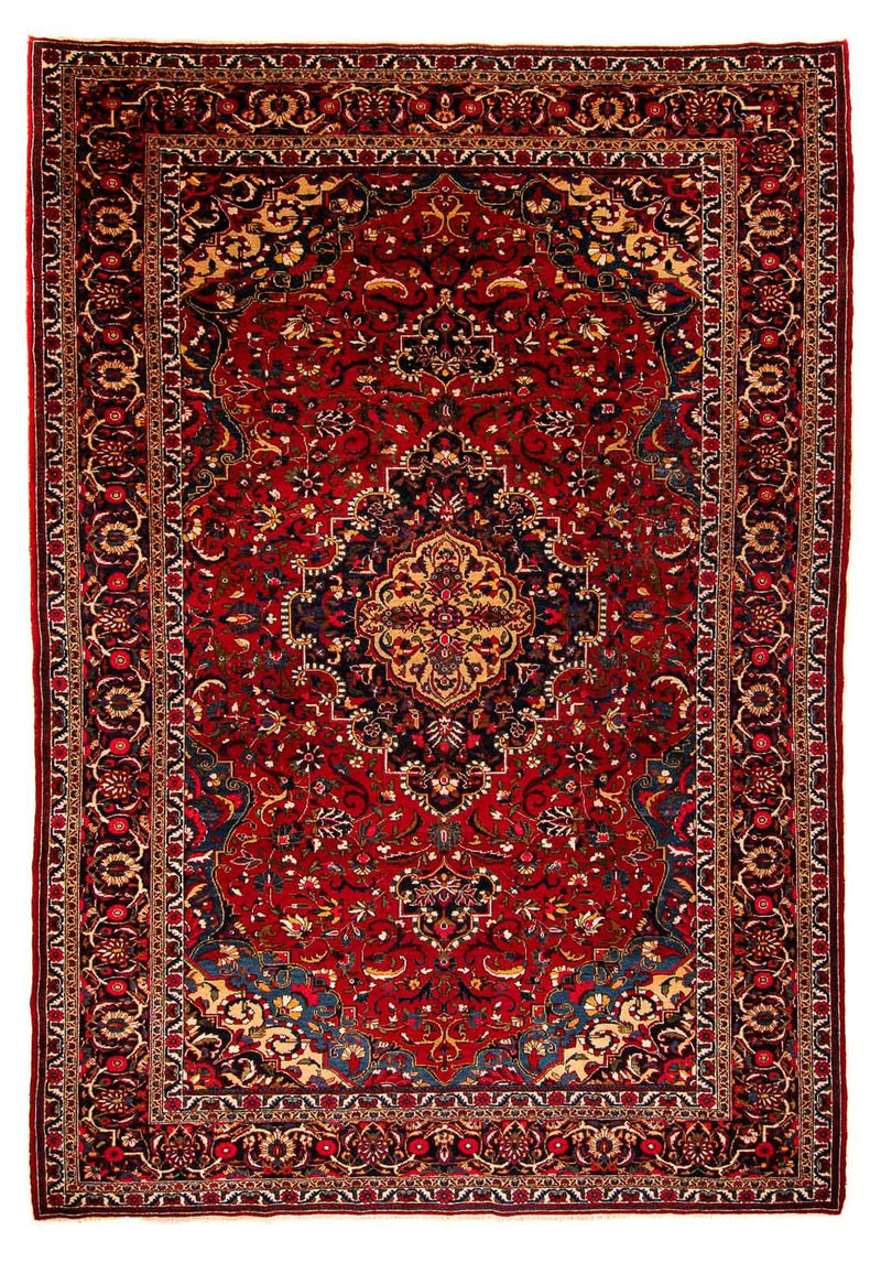 バフティアール 絨毯 335x226cm - ペルシャ絨毯