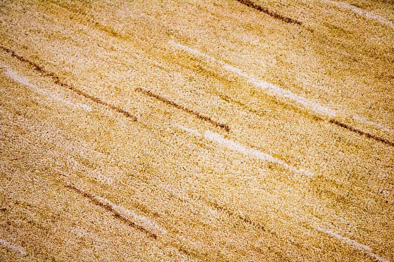 インド ギャベ 絨毯 242x150cm - ウールラグ