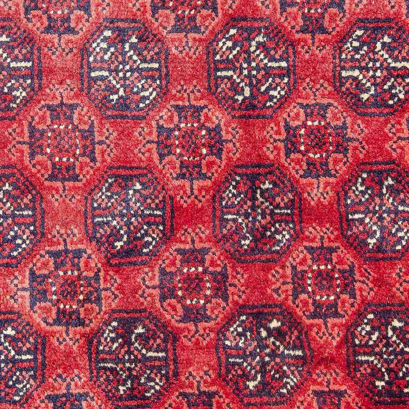 ブハラ 絨毯 299x195cm - オリエンタル絨毯
