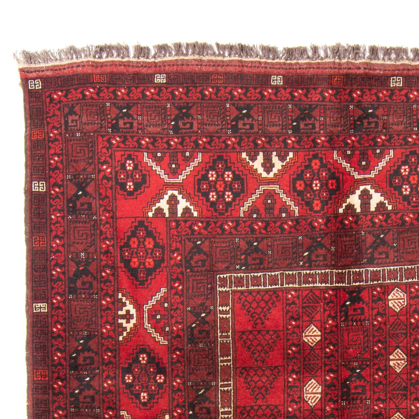 トルカマン絨毯 244x158cm - ペルシャ絨毯
