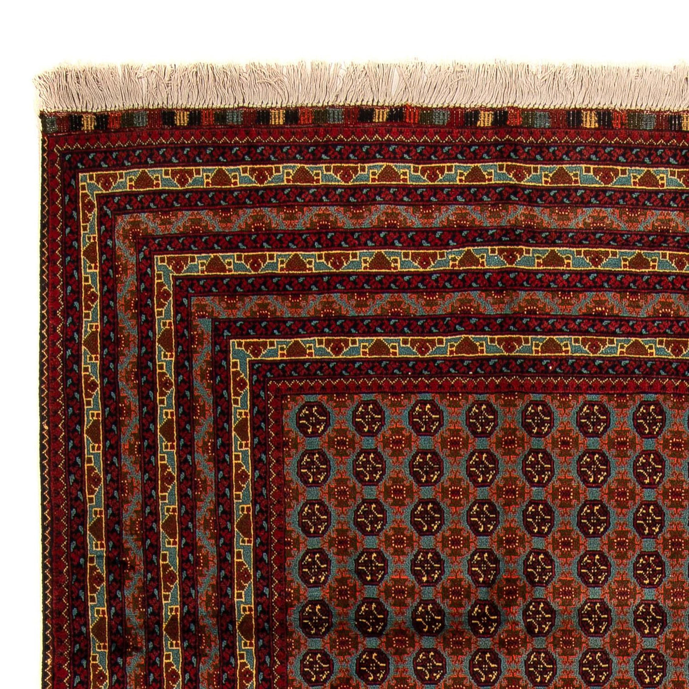 ブハラ 絨毯 296x196cm - オリエンタル絨毯