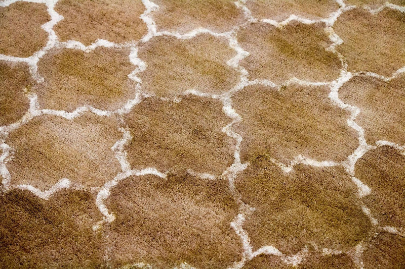 デザイナー絨毯 230x162cm - デザイナーラグ