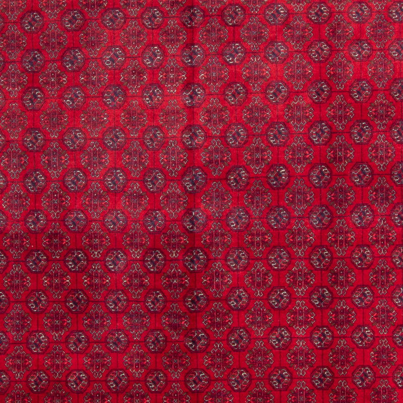 ブハラ 絨毯 340x240cm - オリエンタル絨毯