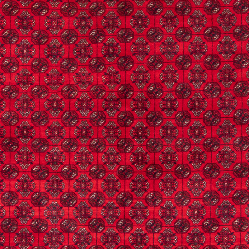 ブハラ 絨毯 290x196cm - オリエンタル絨毯