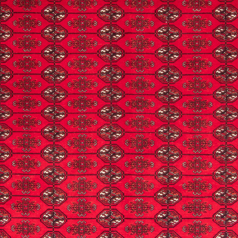 ブハラ 絨毯 282x200cm - オリエンタル絨毯