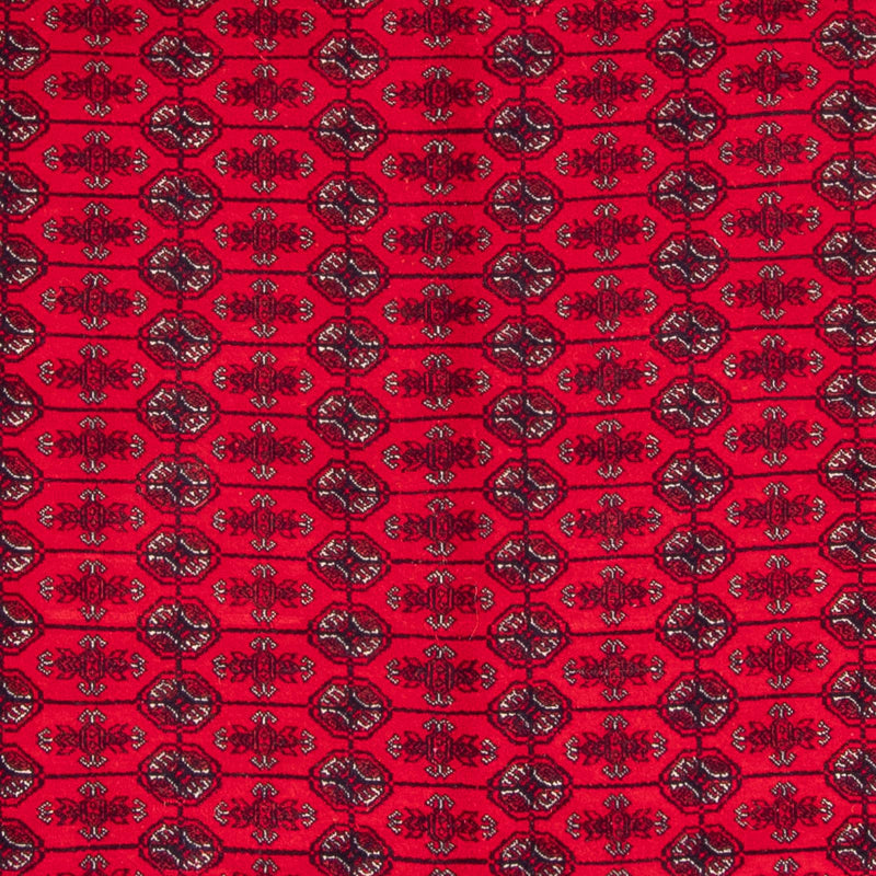 ブハラ 絨毯 292x200cm - オリエンタル絨毯