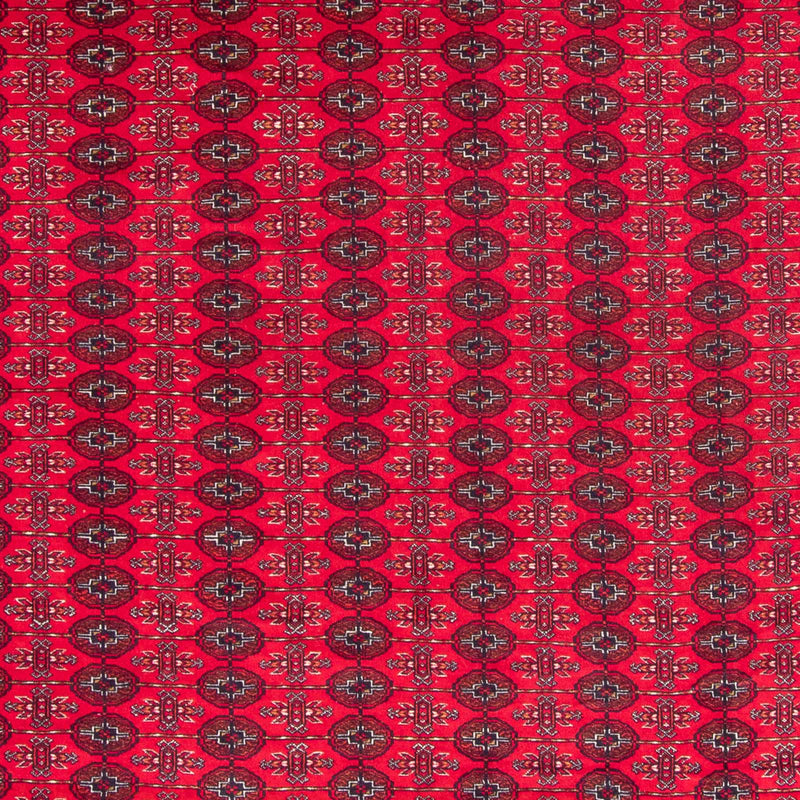 ブハラ 絨毯 370x300cm - オリエンタル絨毯