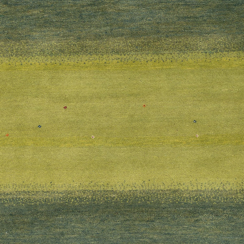 インド ロリバフト 絨毯 240x170cm - ウールラグ