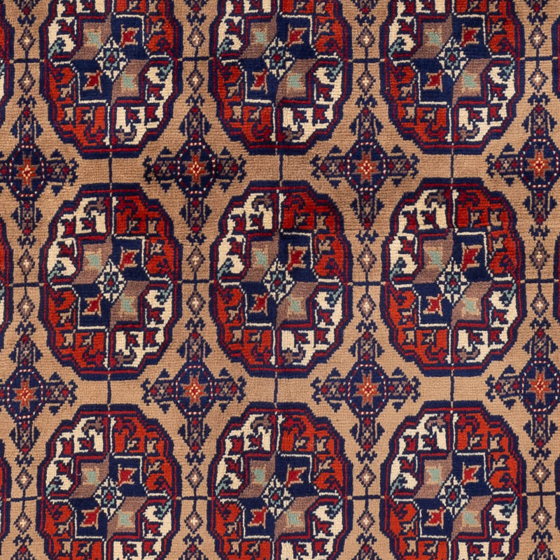 アフガン絨毯 195x148cm - オリエンタル絨毯