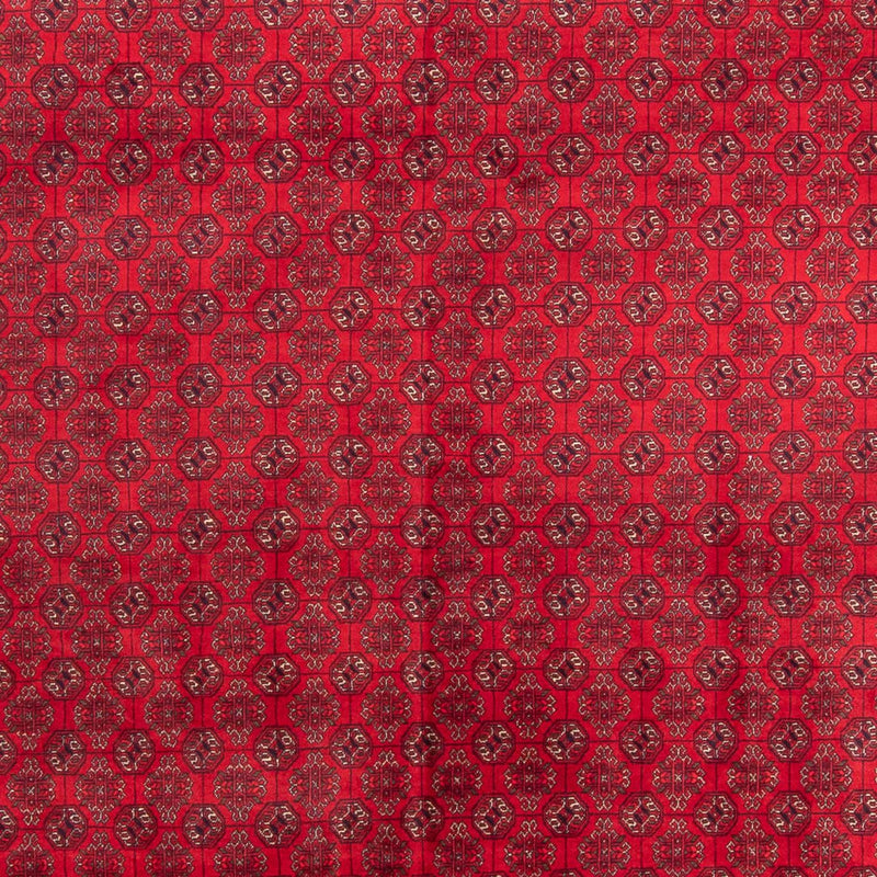 アフガン絨毯 343x248cm - オリエンタル絨毯