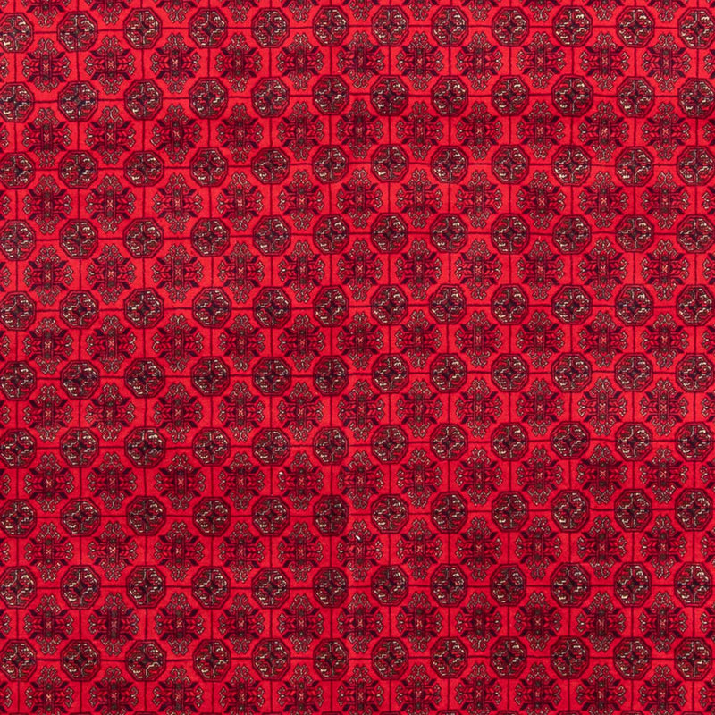アフガン絨毯 295x194cm - オリエンタル絨毯