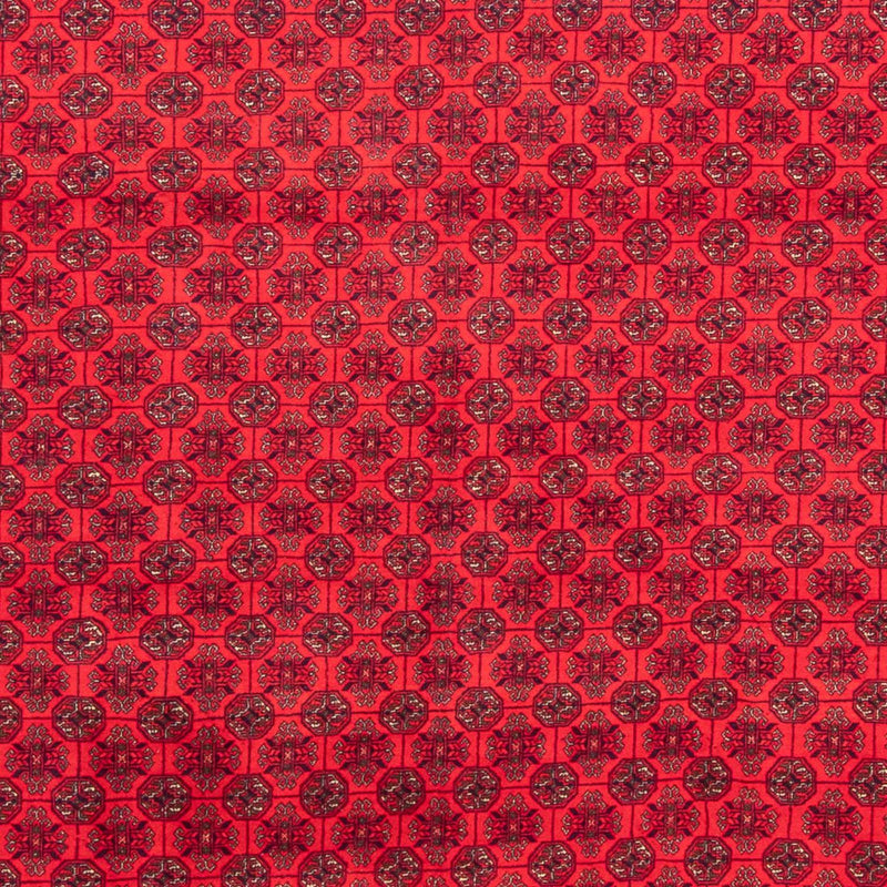 アフガン絨毯 289x200cm - オリエンタル絨毯