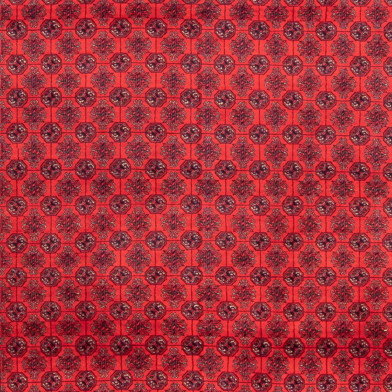 アフガン絨毯 387x298cm - オリエンタル絨毯