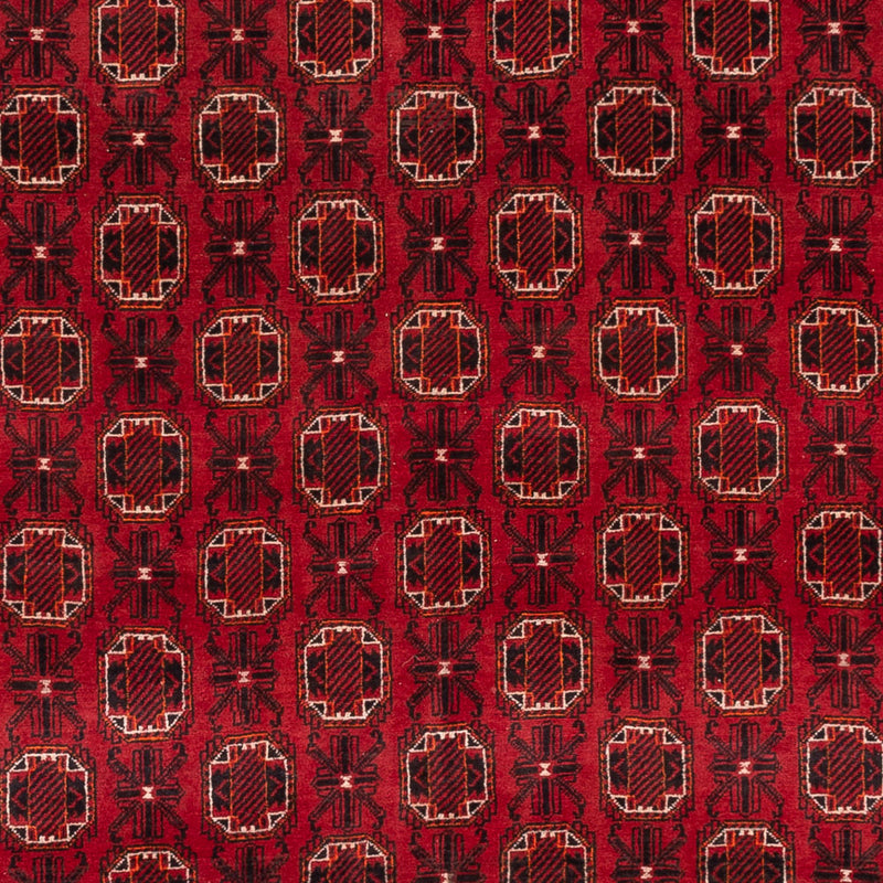 ブハラ 絨毯 274x198cm - オリエンタル絨毯