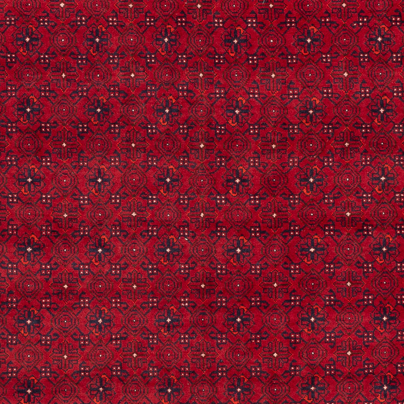 アフガン絨毯 296x193cm - オリエンタル絨毯