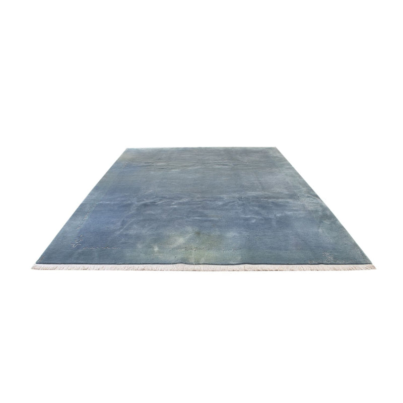 ネパール絨毯 350x240cm - ウールラグ