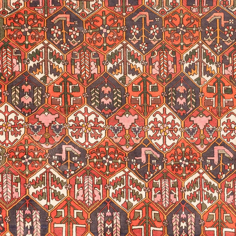 バフティアール 絨毯 310x210cm - ペルシャ絨毯