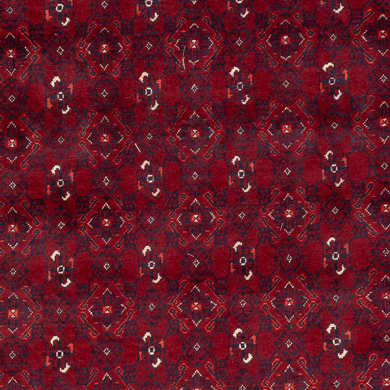 ブハラ 絨毯 284x195cm - オリエンタル絨毯
