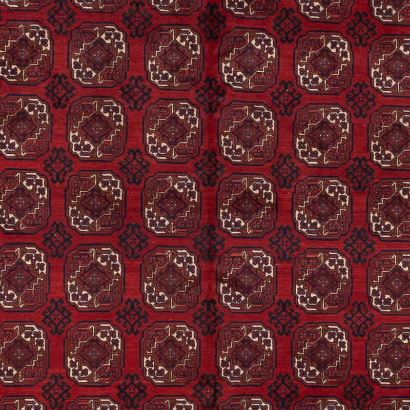ブハラ 絨毯 334x252cm - オリエンタル絨毯