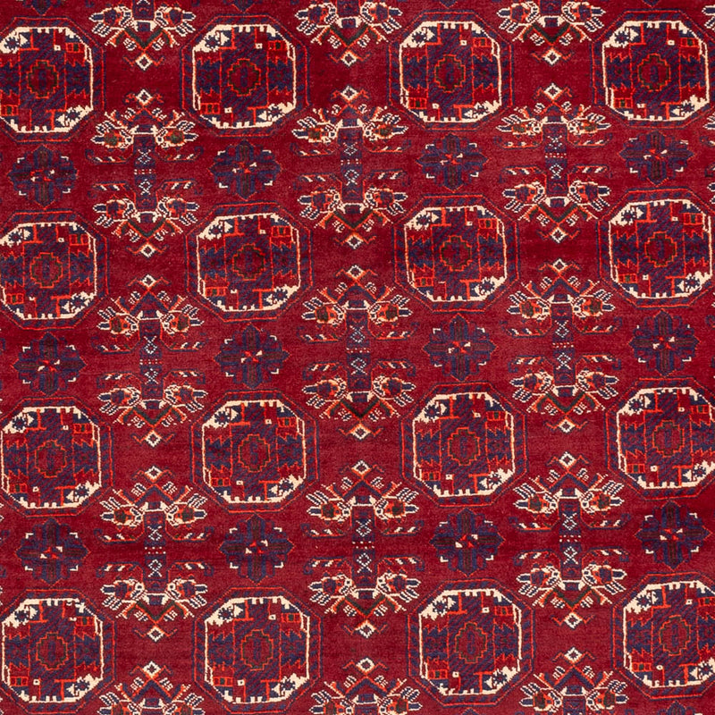 ブハラ 絨毯 283x198cm - オリエンタル絨毯