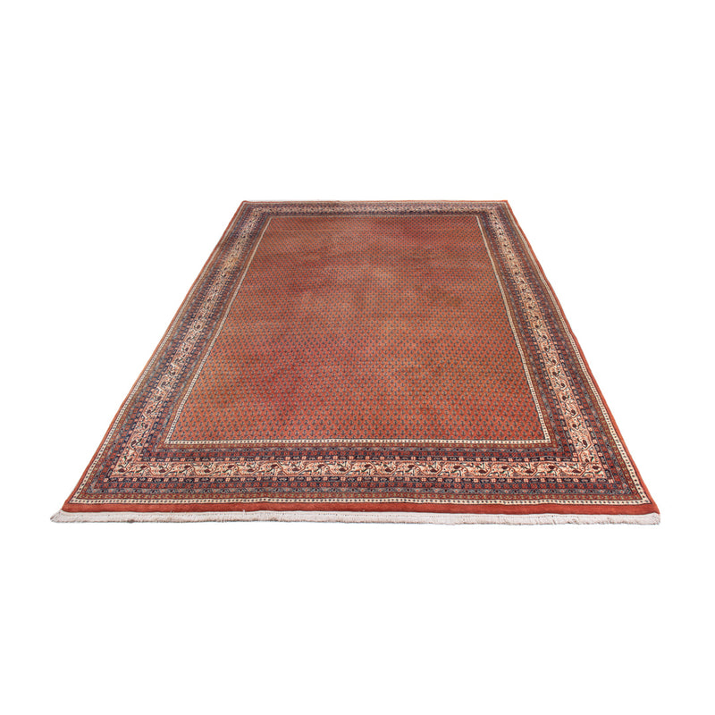インド ミール 絨毯 350x250cm - オリエンタル絨毯