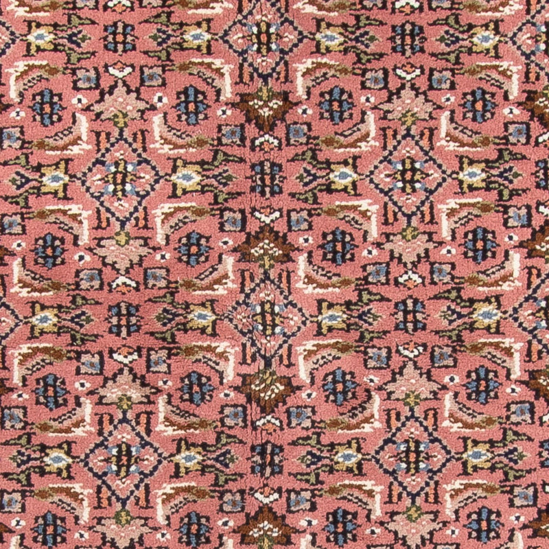 インド ビジャー 絨毯 240x170cm - オリエンタル絨毯
