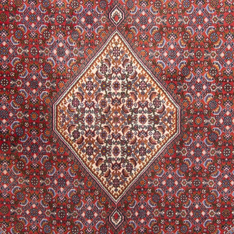 ビジャー 絨毯 210x140cm - ペルシャ絨毯