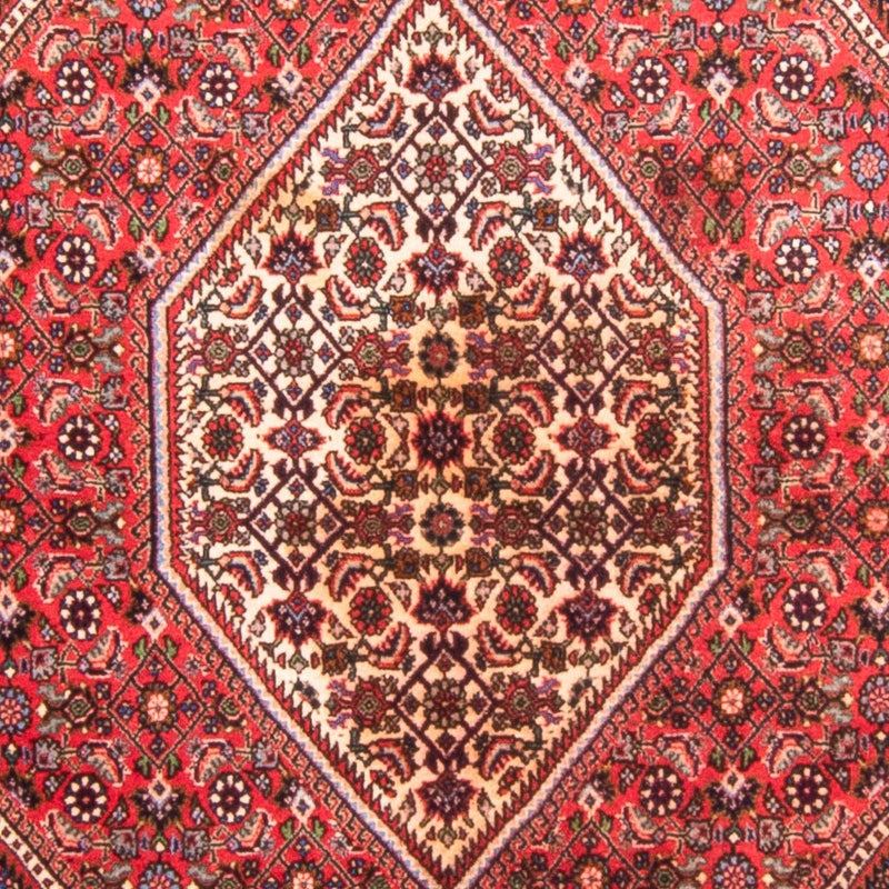 ビジャー 絨毯 170x114cm - ペルシャ絨毯