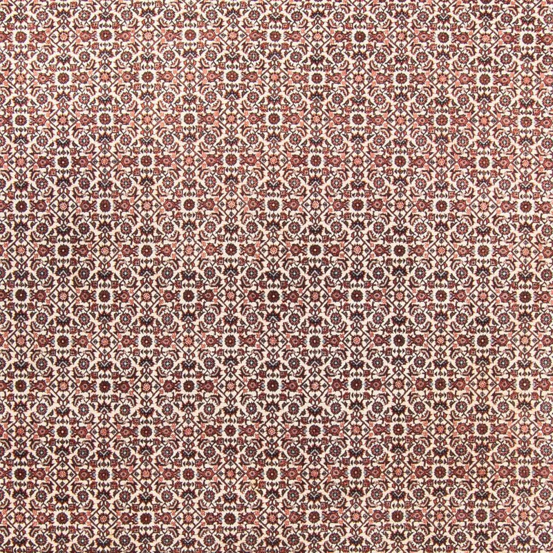 ビジャー 絨毯 340x250cm - ペルシャ絨毯