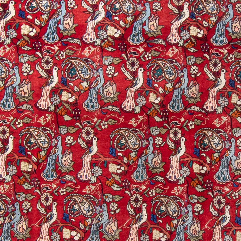 ビジャー 絨毯 280x180cm - ペルシャ絨毯