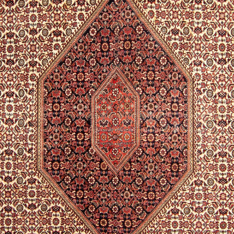 ビジャー 絨毯 312x172cm - ペルシャ絨毯