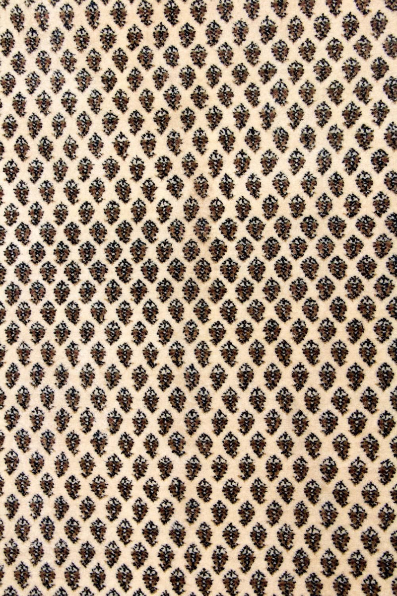 ミール 絨毯 244x170cm - ペルシャ絨毯