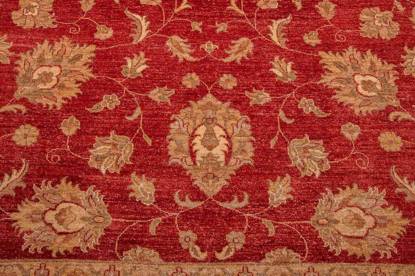 ツィーグラー絨毯 301x241cm - オリエンタル絨毯