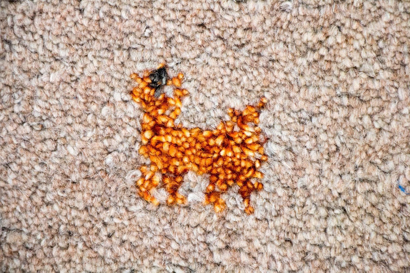 インド ギャベ 絨毯 200x140cm - ウールラグ
