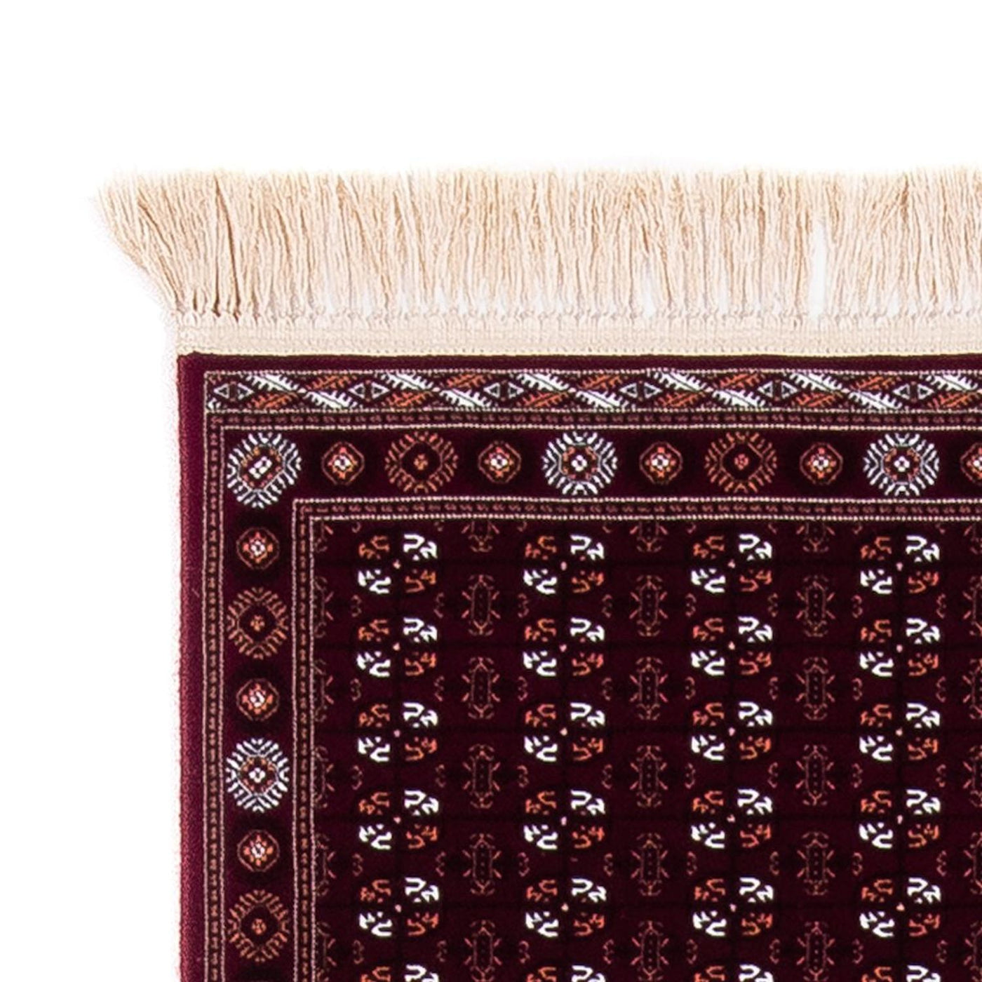 ペルシャ絨毯 Afghan Mauri